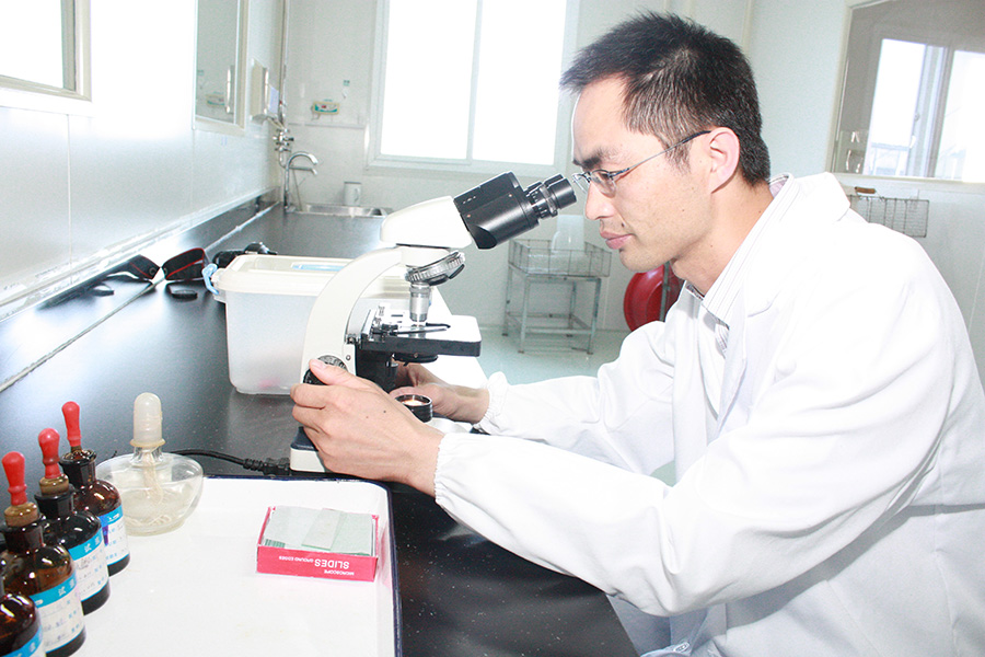 維生素C鈉（抗壞血酸鈉）