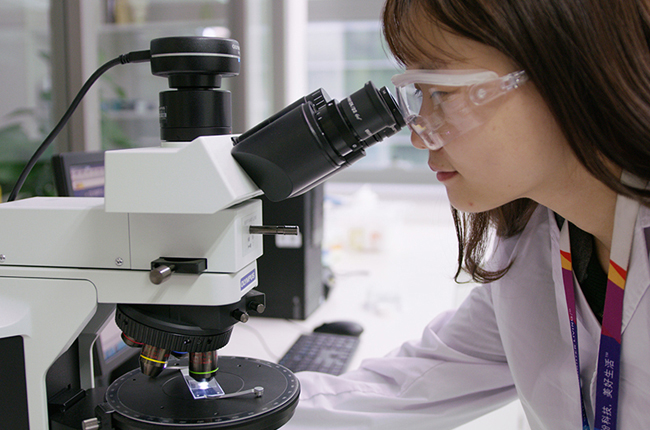 健康網訊：維生素C產業(yè)調研報告（2024版）